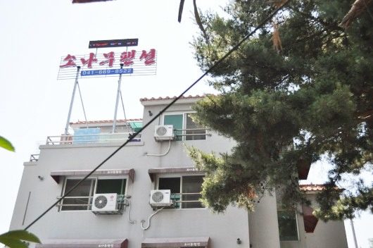소나무펜션 간판이 있는 건물 전경